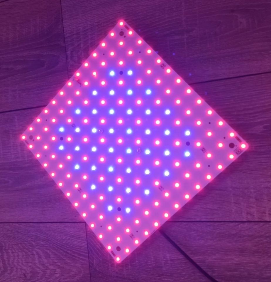 Full Spectrum LED Grow Light 169 LEDs 2000 Watt neu in Bremervörde