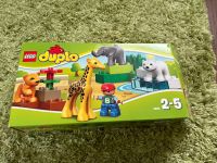 Duplo Tierbabys 4962 Nordrhein-Westfalen - Viersen Vorschau