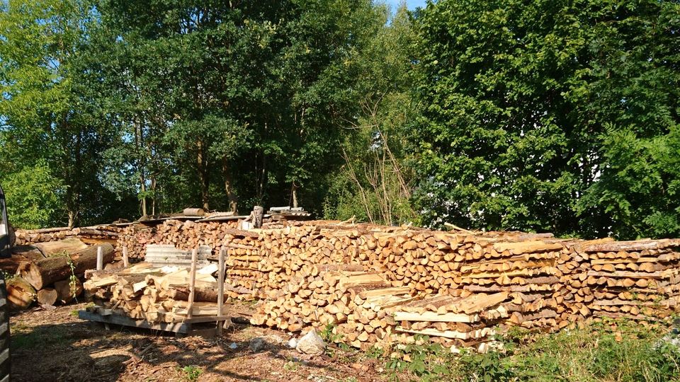 Brennholz Nadelholz Fichtenholz Kiefenholz Feuerholz Heimatholz I in München