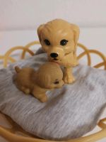 Spielzeug Hundefamilie Mama mit Baby Hund West - Unterliederbach Vorschau