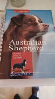 Australien Shepherd Buch Erziehung, Charakter wie neu Nordrhein-Westfalen - Gummersbach Vorschau