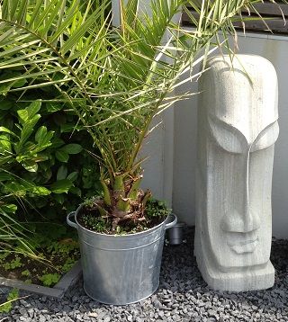 Gartenfigur Moai Osterinseln in Laer