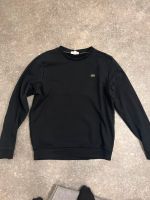 Lacoste Pullover Dortmund - Eving Vorschau