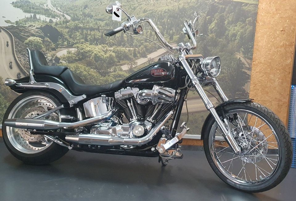 Harley-Davidson | FXSTC Softail Custom | Sofort Verfügbar in Bruchmühlbach-Miesau