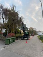 Rodung - Baumpflege - Baumfällung Bayern - Mengkofen Vorschau