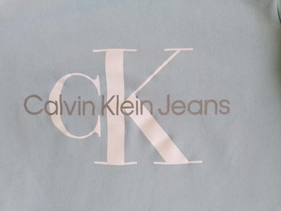 Original Calvin Klein Sweatshirt / Pullover Damen in Landau in der Pfalz