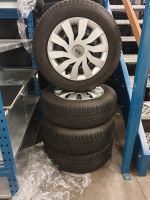 4x Original Kia Kumho 195/65/15 Winterkompletträder Saarland - Losheim am See Vorschau