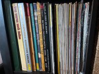 Viele alte Schallplatten Vinyl München - Bogenhausen Vorschau