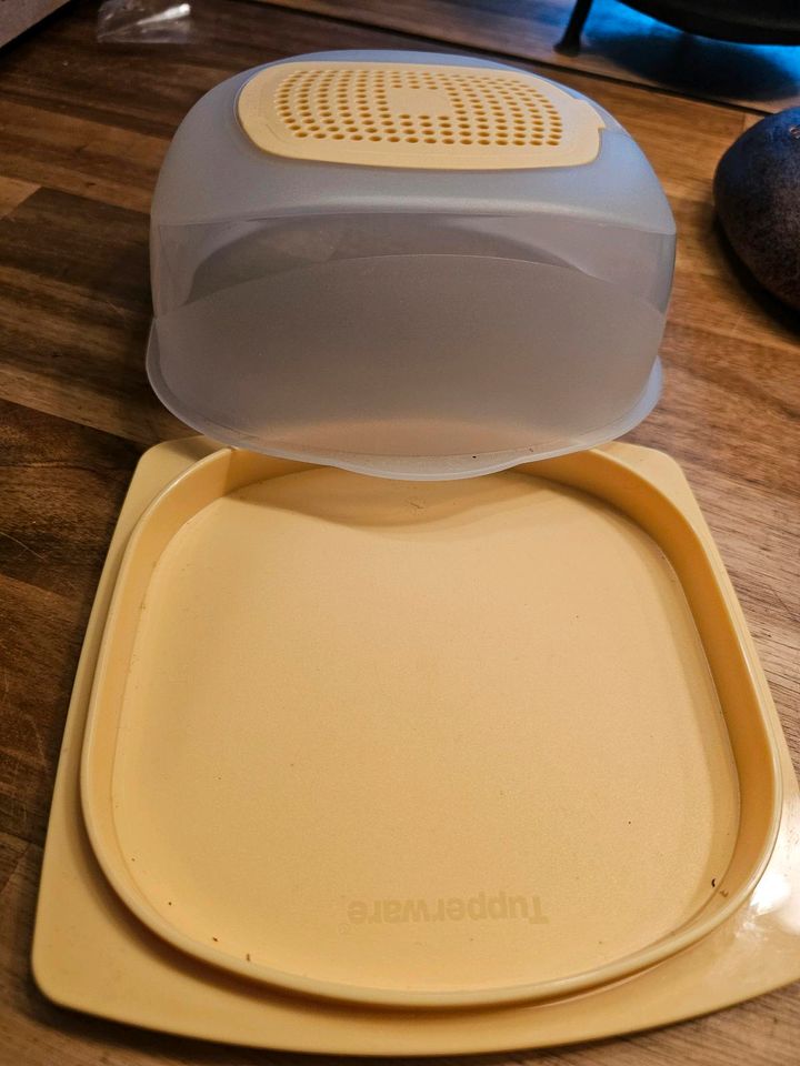 Tupperware Käsemax klein in Altendiez