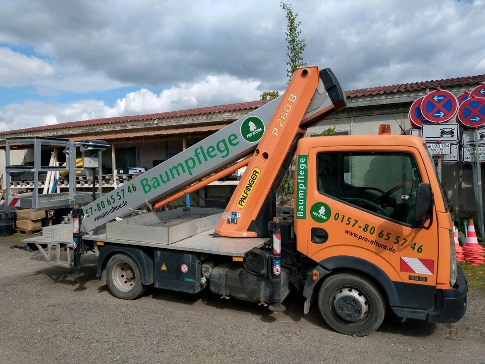 Palfinger P260b Hubarbeitsbühne Steiger Cabstar in Leipzig