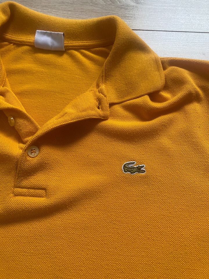 Lacoste Tshirt Poloshirt in Dörpen