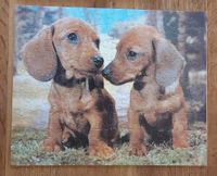 MB Puzzle Hundewelpen 100 Teile Nordrhein-Westfalen - Windeck Vorschau