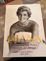 Buch Diana-Königin der Herzen Sachsen-Anhalt - Schönebeck (Elbe) Vorschau