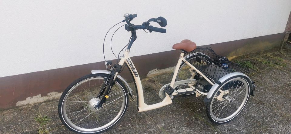 E- Fahrrad mit 3 Räder in Nauheim