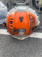 Stihl BR600 Laubbläser Düsseldorf - Mörsenbroich Vorschau