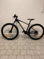 Fahrrad Giant Talon 3 Vorführer Niedersachsen - Giesen Vorschau