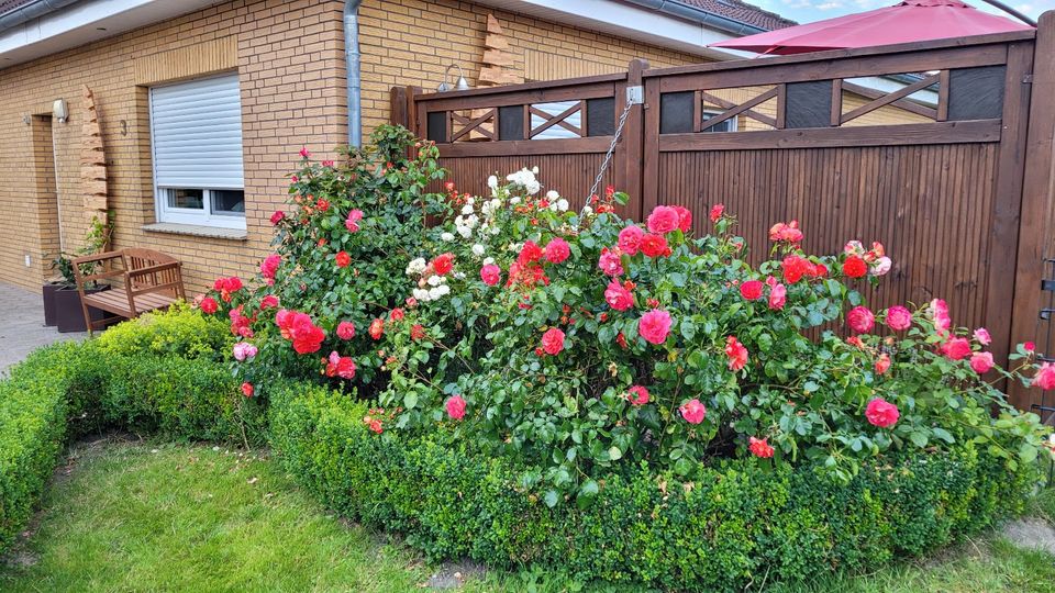 KURZURLAUB OSTFRIESLAND Ferienhaus Greetsiel Schulferien in Hinte