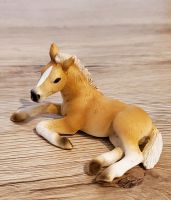 Schleich 13292 - Haflinger Fohlen liegend Dortmund - Derne Vorschau