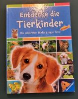 Buch "Entdecke die Tierkinder" Baden-Württemberg - Brackenheim Vorschau