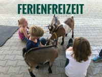 Ferienfreizeit auf dem Bauernhof Bayern - Niederbergkirchen Vorschau