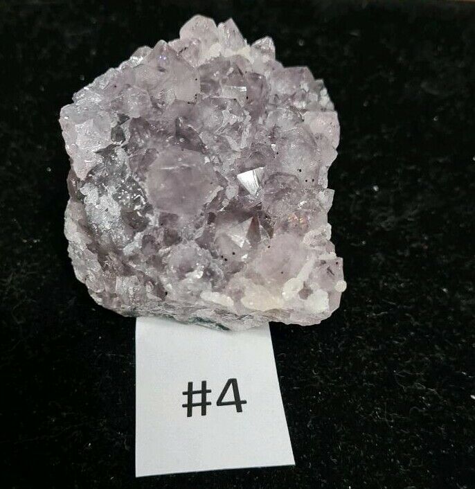 Amethyst Sammlung mit 6 Edelstein Drusen im Holzkästchen in Dresden