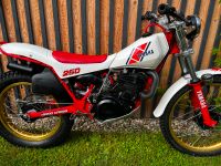 Yamaha TY 250 Klassik Trial / Trail keine Twinshock Bayern - Salching Vorschau