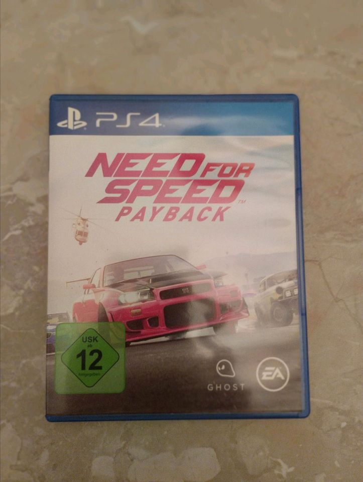 Need for Speed Payback in Nordenham
