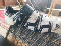 Adidas Fahrradschuhe, Radschuh, Cycling,Gr. 40 3/4 Nordrhein-Westfalen - Arnsberg Vorschau