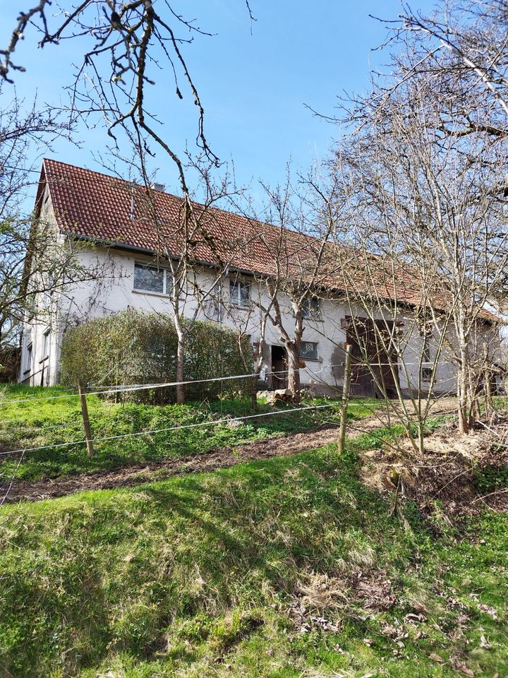 Bauernhaus, Bauernhof, erschlossener Bauplatz mit Gebäudebestand in Pfullendorf