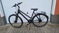 neues Trekkingrad Greens Kensigton 28" 24-Gang Kettenschaltung Schleswig-Holstein - Neumünster Vorschau