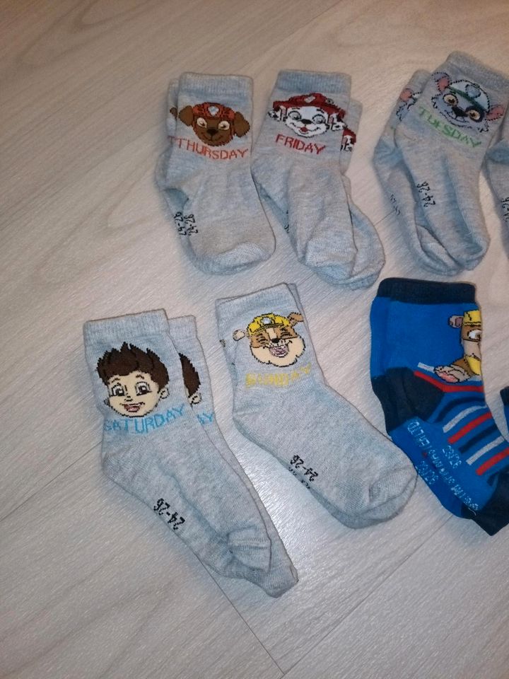 Socken Paw patrol 24-26  1. Hand in Volkach