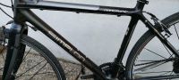 SIMPLON NANOLIGHT f4 FULL CARBON ULTEGRA MAVIC AKSIUM Gravelbike Bayern - Dorfen Vorschau