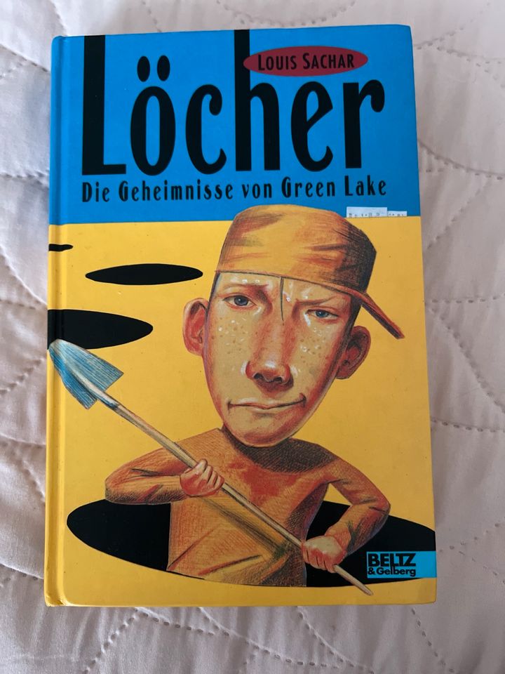 Löcher Buch Roman von Louis Sachsr in Friedrichshafen