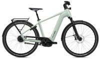 FLYER Gotour 7.23 Gents Rahmenhöhe: 53cm (L) - Akku: 750Wh 8% Niedersachsen - Osnabrück Vorschau