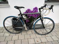 Trek Vollrenner Rennrad kaum benutzt sehr schön Bayern - Sulzbach-Rosenberg Vorschau