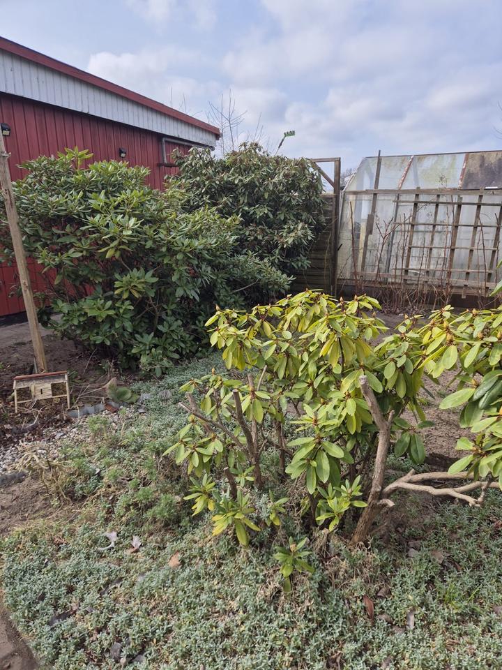 Verkaufe Garten in MecklenburgVorpommern Stralsund Grundstück