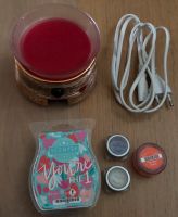 Scentsy Etched Copper Duftlampe und 269 Dufttester Wachs Proben Bayern - Spalt Vorschau