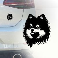 Auto Aufkleber | Pomeranian  | Zwergspitz | Haustier | Sticker Köln - Köln Merheim Vorschau