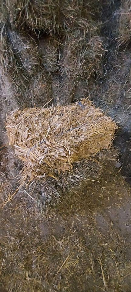 Heu und Stroh in HD Bunde, Kleinballen in Zabakuck