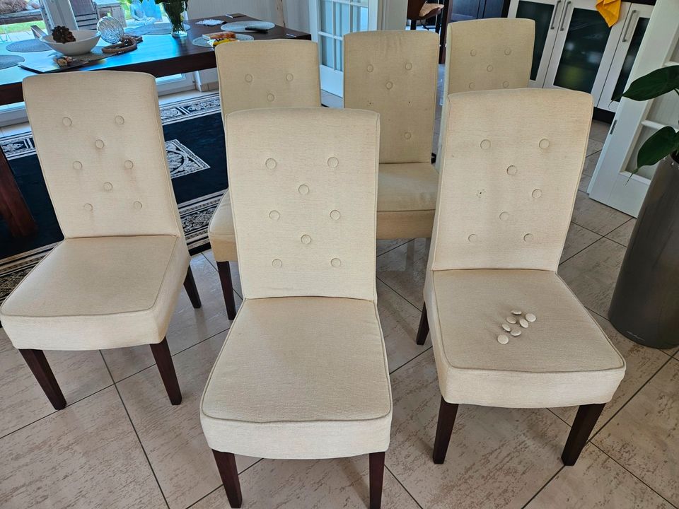 Stühle für Esszimmer 6 Stück Möbel Wikinger Esszimmerstühle in Bad Doberan  - Landkreis - Nienhagen MV | eBay Kleinanzeigen ist jetzt Kleinanzeigen