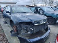 schlachte Audi A4 B5 Avant 1,9 TDI AJM DUK LZ5L Ersatzteile Bayern - Schrobenhausen Vorschau