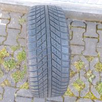 1x Allwetterreifen 205/55R16 94V, Goodyear 5 mm, DOT0818 Hessen - Bad Vilbel Vorschau