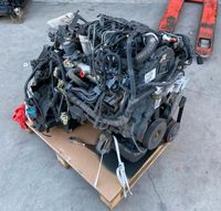 VOLVO V50 CITROEN 1,6 HDI D4164T MOTOR KOMPLETT Brandenburg - Hennigsdorf Vorschau