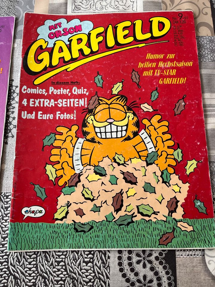 Garfield Comic 6 und 9 1991 in Bad Grönenbach