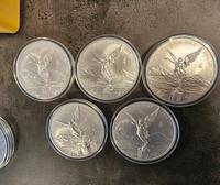 Silbermünzen 5x 5 Unzen Libertad Mexiko Plata Pura 25 Oz Silber Baden-Württemberg - Bad Saulgau Vorschau