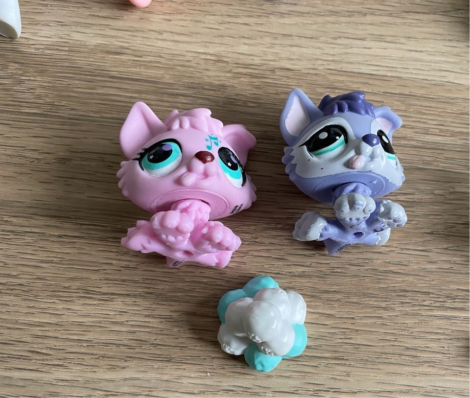 Littlest Pet Shop in Rostock