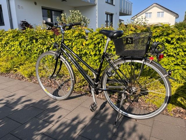 Trekking-Rad Damen KTM in Hiddenhausen