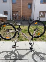 KS Cycling Mountainbike 26'' Carnivore Fahrrad/Bike Bayern - Garmisch-Partenkirchen Vorschau