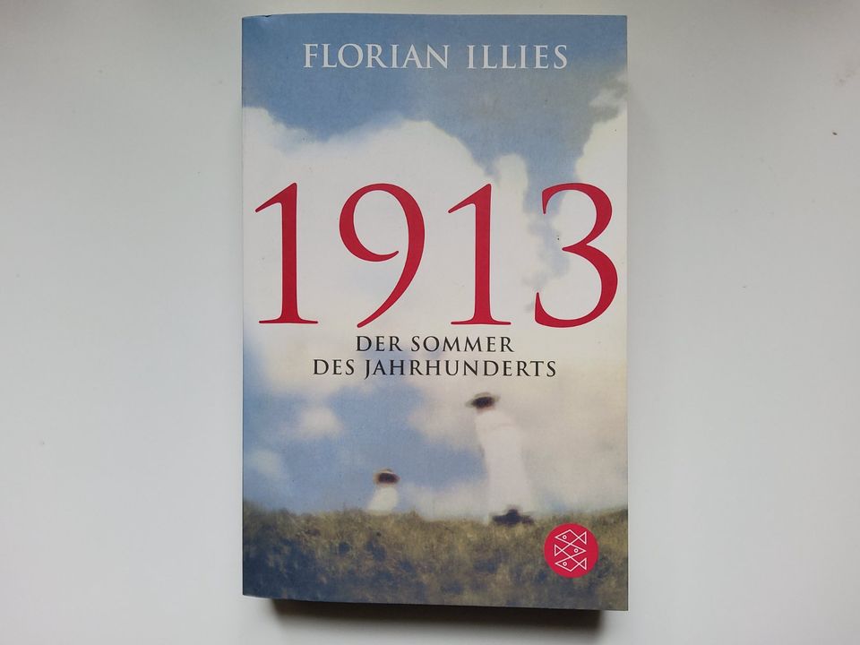 1913 - Der Sommer des Jahrhunderts - Florian Illies NEU UNGELESEN in Langwedel