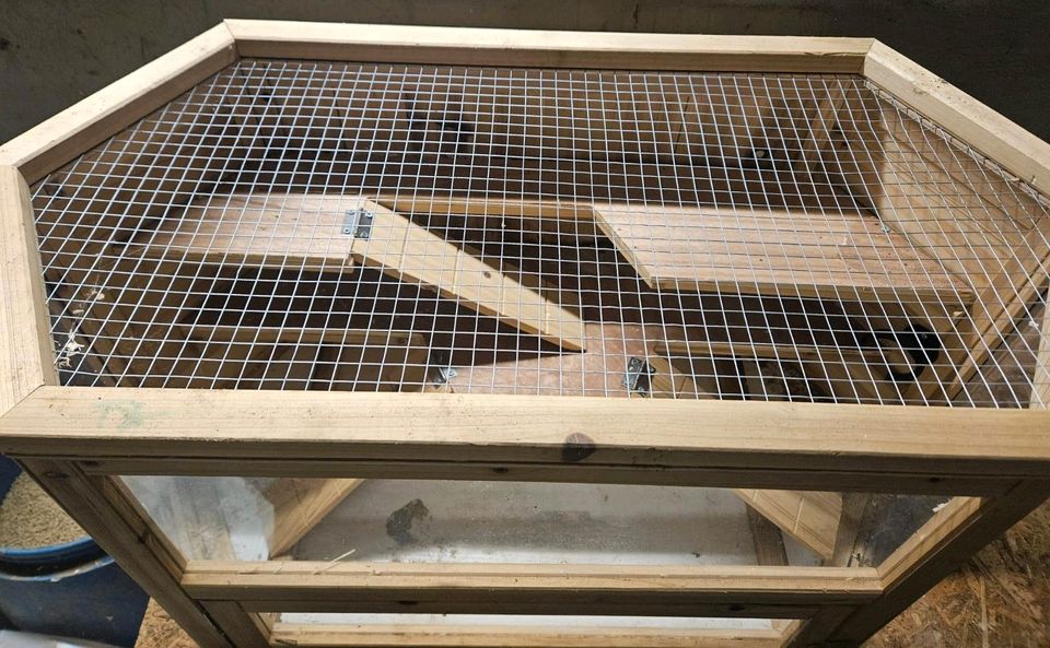Hamster Käfig aus Holz nager Gehege in Schwichtenberg